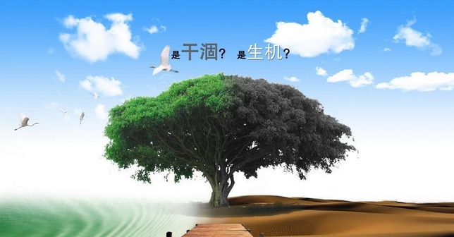 天势科技-环保